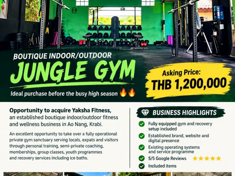 indoor-outdoor-jungle-gym-for-sale
